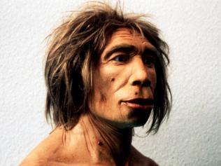 NEANDERTHAL CANNİBALİZMİ 